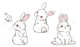 兔子漫画,趣味横生的动物世界